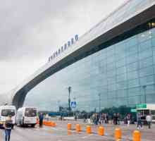 Cum să ajungeți la Domodedovo. exprima