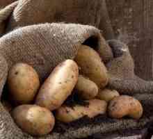 Cum se păstrează cartofii într-o pivniță: în plase, în saci, în vrac