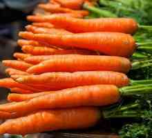 Cum să păstrați morcovii acasă