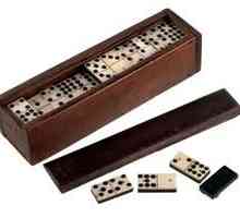 Cum să joci corect domino? Cum se joacă domino cu un computer? Regulile jocului în domino