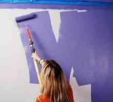 Cum să pictezi frumos zidurile cu propriile mâini: caracteristici, idei interesante și recomandări