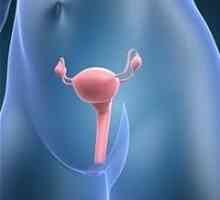 Cum se tratează eroziunea cervicală în clinică?