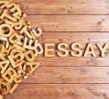 Cum de a scrie un eseu pe limba engleză? Plan, structură și eseu