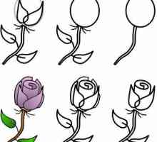 Cum sa desenezi un buchet de trandafiri in creion si acuarela