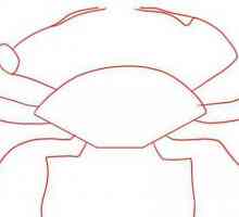 Cum de a desena un crab - instrucțiuni detaliate