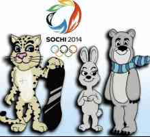 Cum să atragă Jocurile Olimpice din 2014