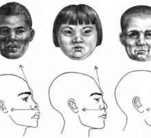 Cum să desenezi un profil de față al unei fete, al unui copil și al unui bărbat adult