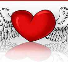 Cum de a desena o inimă cu aripi: recomandări utile
