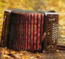 Cum sa inveti sa joci acordeonul: sfaturi pentru incepatori