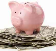 Cum să învățați să economisiți bani și să economisiți bani cu venituri modeste? Sfaturi practice