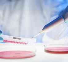 Care este numele testului pentru celulele canceroase din organism?