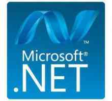 Cum se actualizează .NET Framework?
