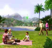 Cum se actualizează "Syms 3"? Cum să actualizați "The Sims 3" la ultima…