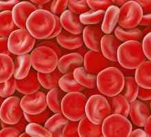Modul în care hemoglobina este indicată în testele de sânge: indicatori, transcripție și normă