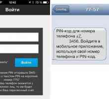 Cum să plătiți pentru parcare prin SMS? Plata pentru parcarea Moscova prin SMS: instrucțiuni pas cu…
