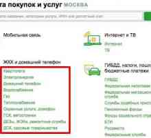 Cum să plătiți facturile de utilitate prin Sberbank online: un ghid pas cu pas