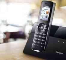 Cum pot dezactiva telefonul de la casa de la Rostelecom? De ce am nevoie de un telefon fix?