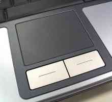 Cum să dezactivați mouse-ul tactil pe un laptop? Trei moduri de activare a touchpad-ului
