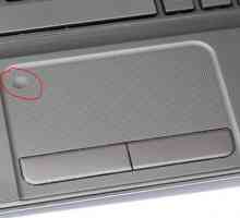 Cum să dezactivați touchpad-ul unui laptop atunci când mouse-ul este conectat
