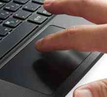 Cum să dezactivați touchpad-ul pe un laptop?