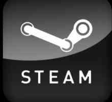 Cum se deschide inventarul în "Steam": instrucțiuni