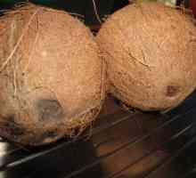 Cum de a deschide o nucă de cocos acasă fără pierderi și cu un efort minim