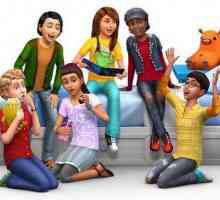 Cum se deschide consola în "The Sims 4": descriere pas cu pas, coduri și recomandări