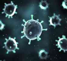 Cum de a distinge otravirea de rotavirus? Simptomele bolilor