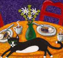 Cum să dezactivați o pisică să urce pe mese? Este posibil să înțărcați pisica să urce pe mese?