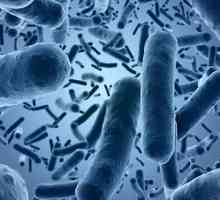 Cum se transmite E. coli de la o persoană la alta?