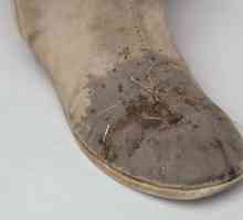 Cum de a curăța cizmele din piele de căprioară acasă? Sfaturi pentru îngrijirea cizmelor de piele…