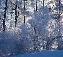Cum să pregătească elevii din clasa a VI-a pentru compoziția-descrierea pădurii de iarnă?