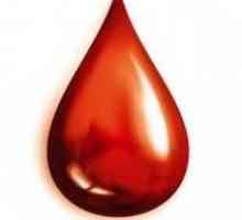 Как появились группы крови. Самая распространенная группа крови на планете
