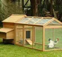 Cum de a construi o casă pentru pui?