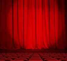 Cum să intri într-o liceu de teatru pentru un actor sau un regizor?