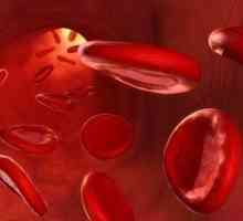 Cum să crească hemoglobina la domiciliu: cele mai eficiente metode