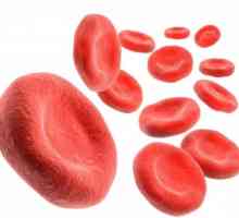 Cum să crească hemoglobina în sânge