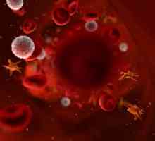 Cum de a crește trombocite în sânge: Rețete de sănătate