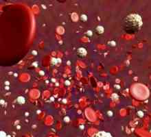 Cum să crească trombocitele în sânge la domiciliu