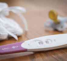 Cum se face un test de sarcină: Instrucțiuni