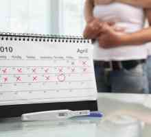Cum puteți calcula corect durata sarcinii?