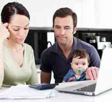 Cum să cheltuiți banii corect? Bugetul familiei: un exemplu. Acasă Contabilitate