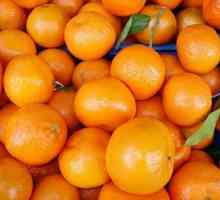 Cum să gătești o carlotte cu mandarine: cele mai bune rețete