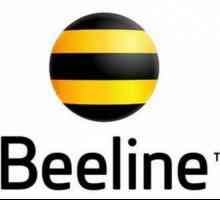 Cum se poate extinde viteza pe "Beeline"?
