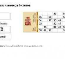 Cum să verificați biletul? "Lotto rus" - metode de verificare