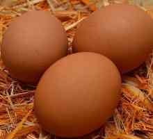 Cum să verificați prospețimea ouălor la domiciliu?