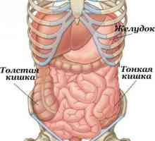 Cum să verificați intestinul subțire? Metode de diagnosticare. Pregătirea pentru o colonoscopie