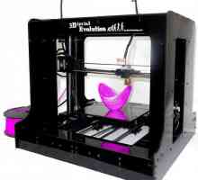Cum funcționează o imprimantă 3D? Produse pe o imprimantă 3D