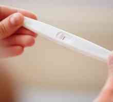 Cum funcționează testul de sarcină? Benzi de testare: principiul funcționării
