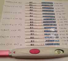 Cum funcționează testul de ovulație: Prezentare generală, caracteristici, instrucțiuni și feedback